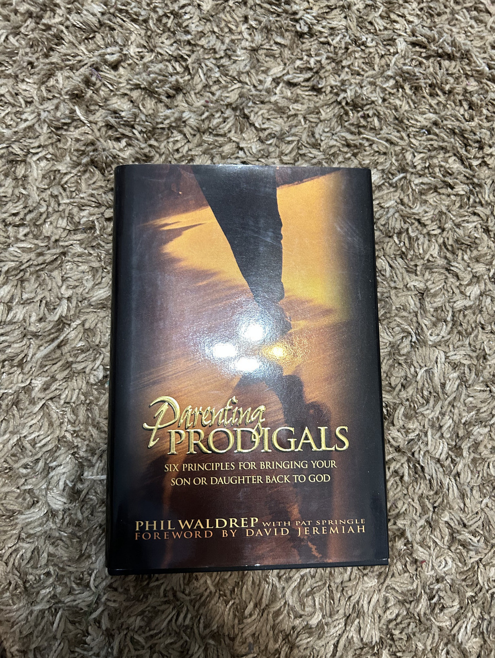 Parenting Prodigals by Phil Waldrep - Hardcover Book